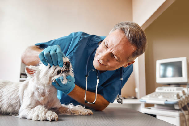 Best Emergency Dental Extractions in Columbus, IN